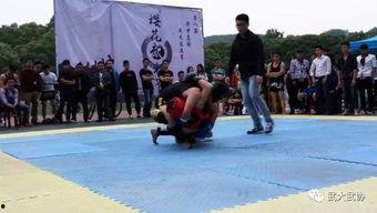 散打吃瓜,吃瓜群众眼中的武林风云