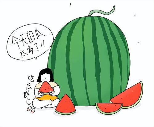 散打吃瓜,吃瓜群众眼中的武林风云