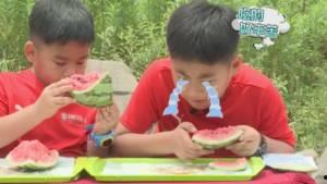 小鬼吃瓜失败,揭秘娱乐圈幕后真相