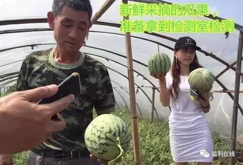 离石吃瓜直播,揭秘网络红人的幕后生活