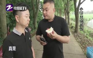 小霸王吃瓜记视频