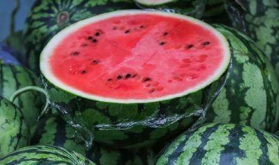 小霸王吃瓜记视频