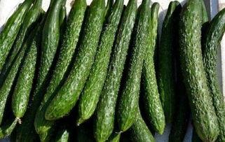 减肥可以吃丰田瓜吗,减肥期间的理想甜味选择