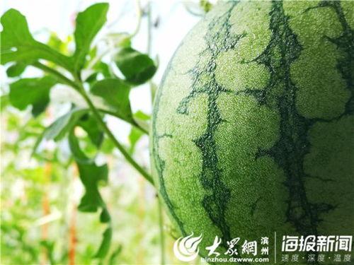 五一51吃瓜,51吃瓜盛宴！