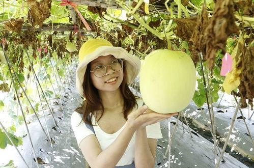 尼泊尔吃佛山瓜,体验地道中国美食之旅