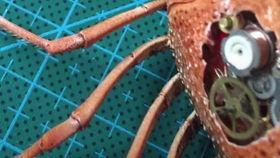 吃瓜真的美滋滋,享受生活之美