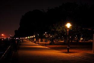 夜景吃瓜拍照,捕捉光影中的美味瞬间