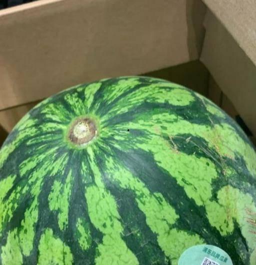 直播吃瓜真假,真假难辨，揭秘网络直播的虚与实