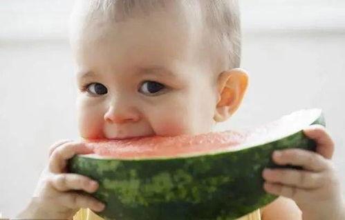 小说宝宝吃瓜,一场甜蜜的误会之旅