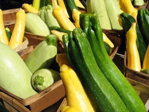 人物的吃瓜模型推荐,揭秘娱乐圈幕后真相的神秘力量