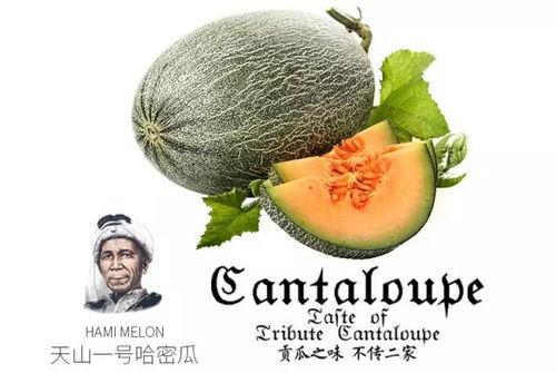 人物的吃瓜模型推荐,揭秘娱乐圈幕后真相的神秘力量