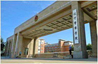 辽宁警察学院吃瓜,吃瓜群众眼中的校园生活