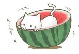 遇见神鹿吃瓜,一场奇幻的吃瓜之旅