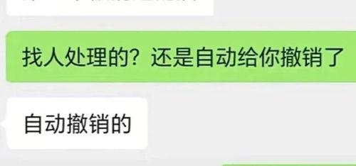 退款吃瓜,退款风波背后的吃瓜真相揭秘