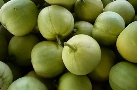 吃瓜神器甜瓜,夏日消暑的“吃瓜神器”