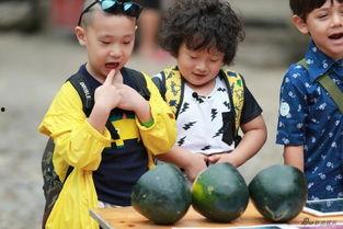 萌娃甜蜜吃瓜,吃瓜趣事大盘点