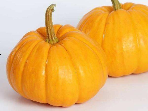 哪些瓜适合小孩吃,营养美味，健康成长好伴侣