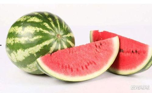 哪些瓜适合小孩吃,营养美味，健康成长好伴侣