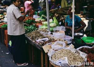 吃瓜中心缅甸视频,揭秘当地热门视频背后的故事