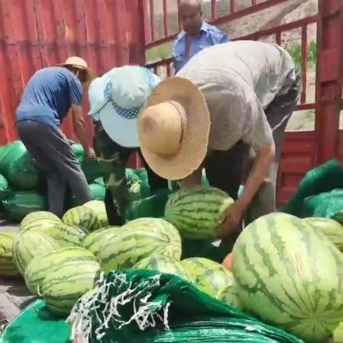 经常发吃瓜头像的人,那些热衷于分享搞笑头像的社交达人