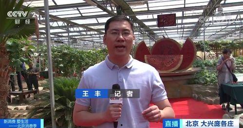 记者带你吃瓜,揭秘娱乐圈幕后故事