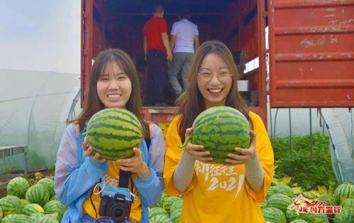 小辫儿吃瓜,揭秘娱乐圈幕后故事