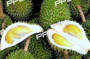 吃瓠子瓜可以吃榴莲吗,探索两者共食的可能性