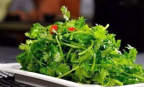 b战香菜吃瓜,揭秘B站热门吃瓜事件背后的真相