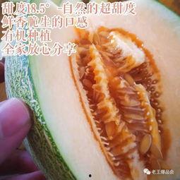 纯甜蜜瓜怎么吃,尽享夏日清新美味
