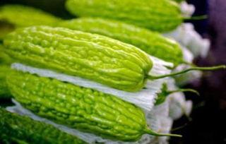 孕妇可以吃生凉瓜,孕妇可适量食用生凉瓜