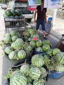 南京郑州吃瓜事件,网络舆论的风暴与反思