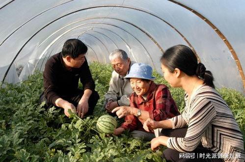 吃瓜挑战老奶奶,老奶奶的智慧与传承