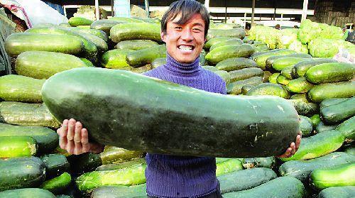 他吃了内脏么吃瓜,他是否品尝过神秘内脏美食？