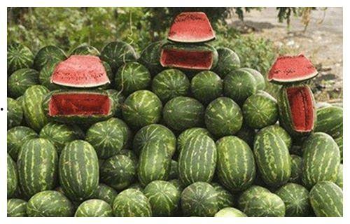 瓜农不敢吃瓜,食品安全背后的隐忧