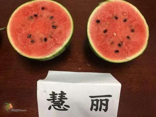 达达吃瓜,揭秘娱乐圈的甜蜜与苦涩