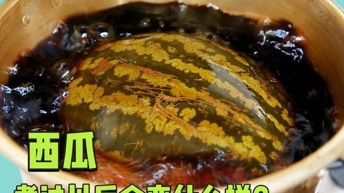 直播吃煮瓜,瓜熟蒂落，共享煮瓜美味时光