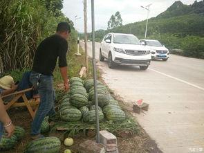 学校凳子吃瓜,凳子“吃瓜”事件引发热议