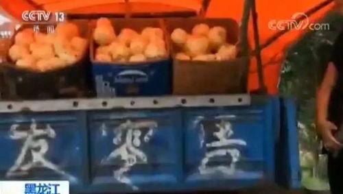 吃瓜闹肚子搞笑,笑料横生的尴尬日常