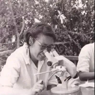 外国吃瓜奶奶,跨国文化交流的趣味观察