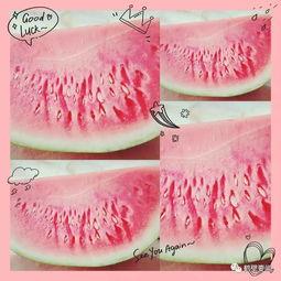 鹤壁吃瓜的好处,夏日清凉好去处