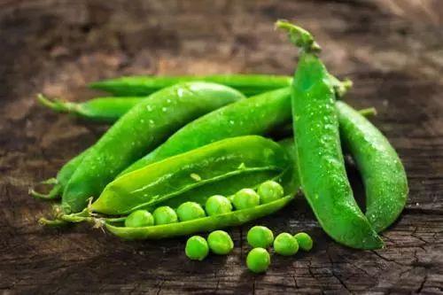 吃瓜得豆,揭秘瓜果中的营养宝藏