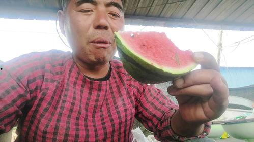 农民鲁智深吃瓜,农民英雄的田园生活