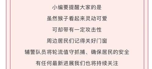 线上吃瓜不如线下,揭秘线上与线下吃瓜差异
