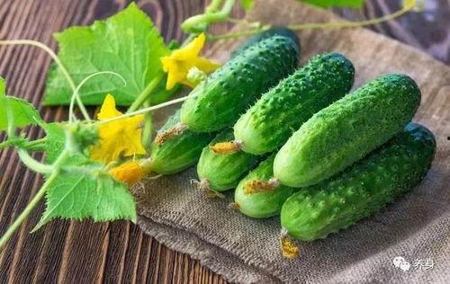 吃新鲜大瓜,畅享新鲜大瓜的清凉滋味