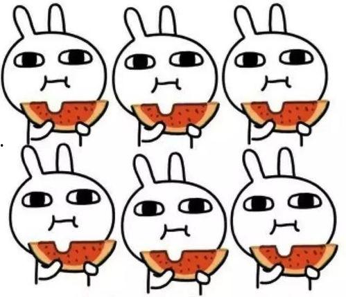 奶兔biubiubiu吃瓜,奶兔biubiubiu的瓜界探险记