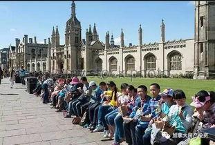 吃瓜老外轮船,一场跨国文化交流的奇妙之旅