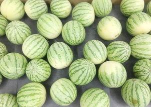 当当网吃瓜群众,揭秘网络购物背后的故事