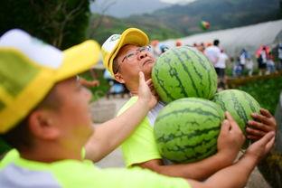 吃瓜32楼,网络热点的幕后故事