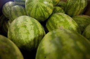 血压低可以吃福寿瓜吗,福寿瓜——天然降压美食的选择