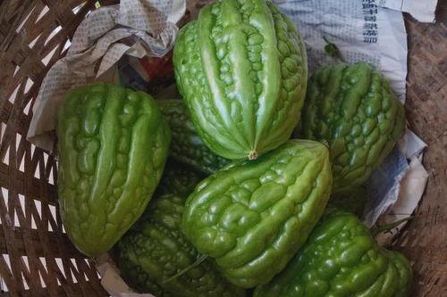 吃瓜了江门,揭秘背后真相与网络舆论的力量